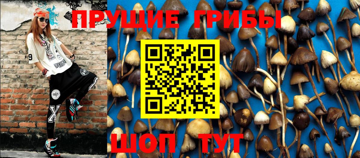 Псилоцибиновые грибы мухоморы  Вход с VPN  Галлюциногенные грибы мухоморы  Минусинск 