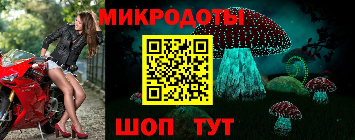 Галлюциногенные грибы прущие грибы Минусинск